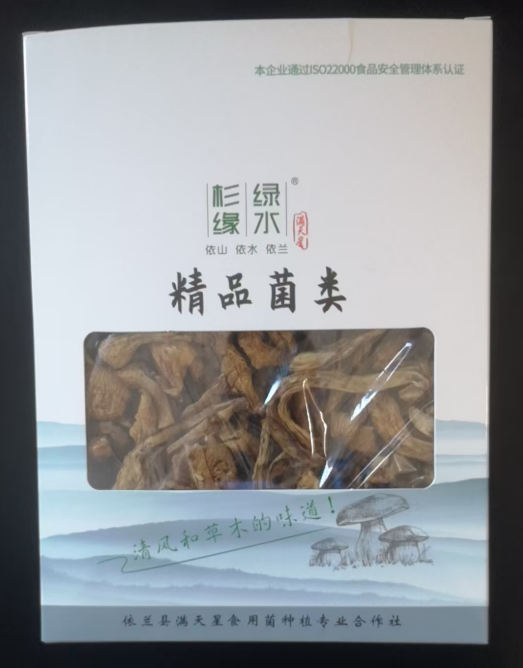 Slippery Mushroom Slippery Mushroom