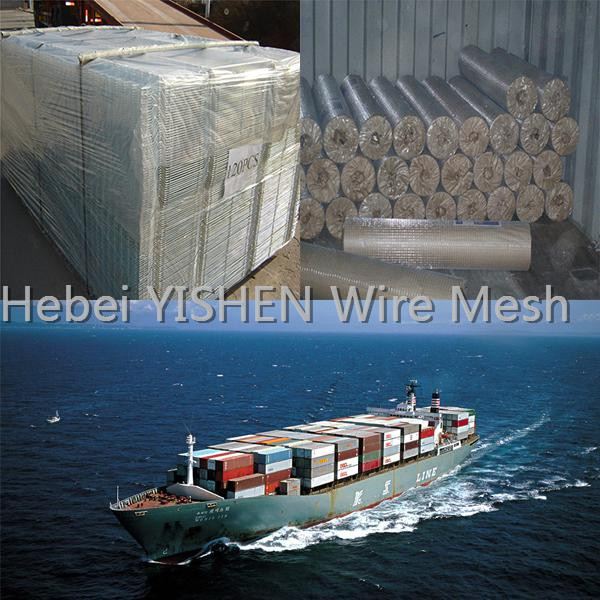 Galvanized welded wire mesh