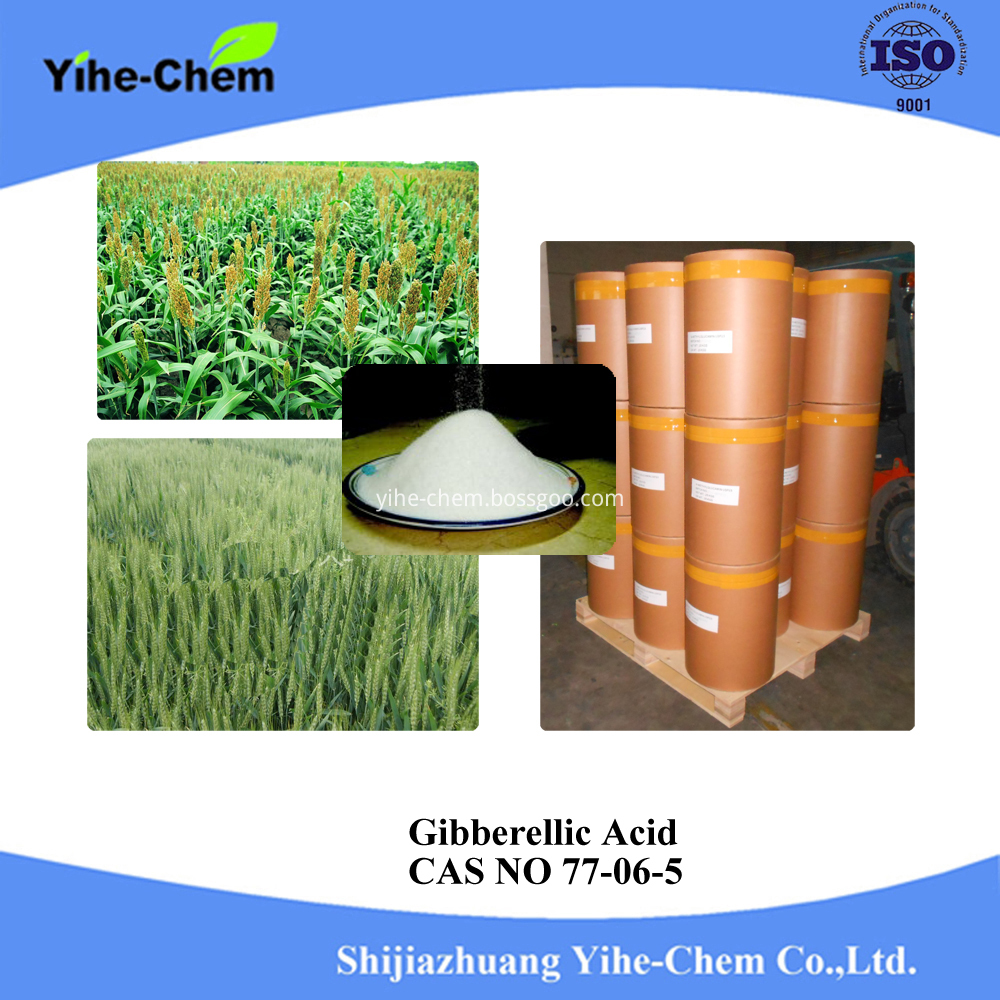 Gibberellic Acid 5