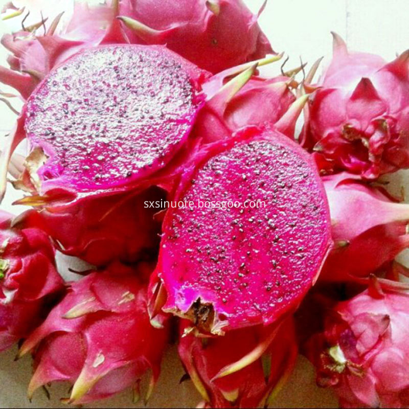 Red Pitaya Powder Red Pitaya Powder