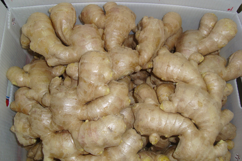 Air dried ginger