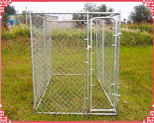 체인 링크 개 울타리 Chain link dog fence