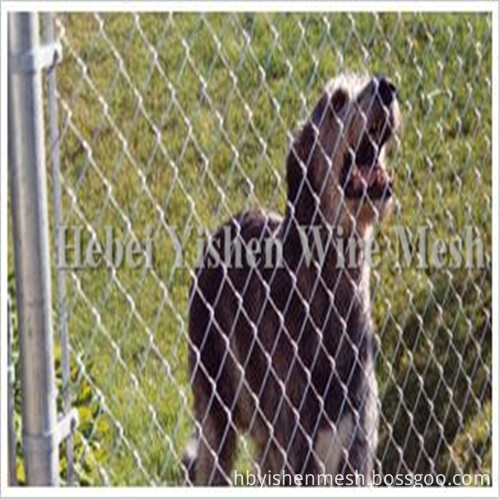 chain link fence