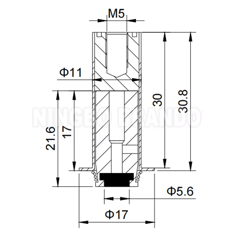 BAPC211030036-DRW BAPC211030036-DRW