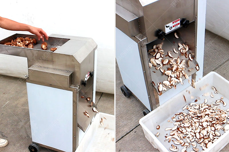 commercial mushroom slicer commercial mushroom slicer