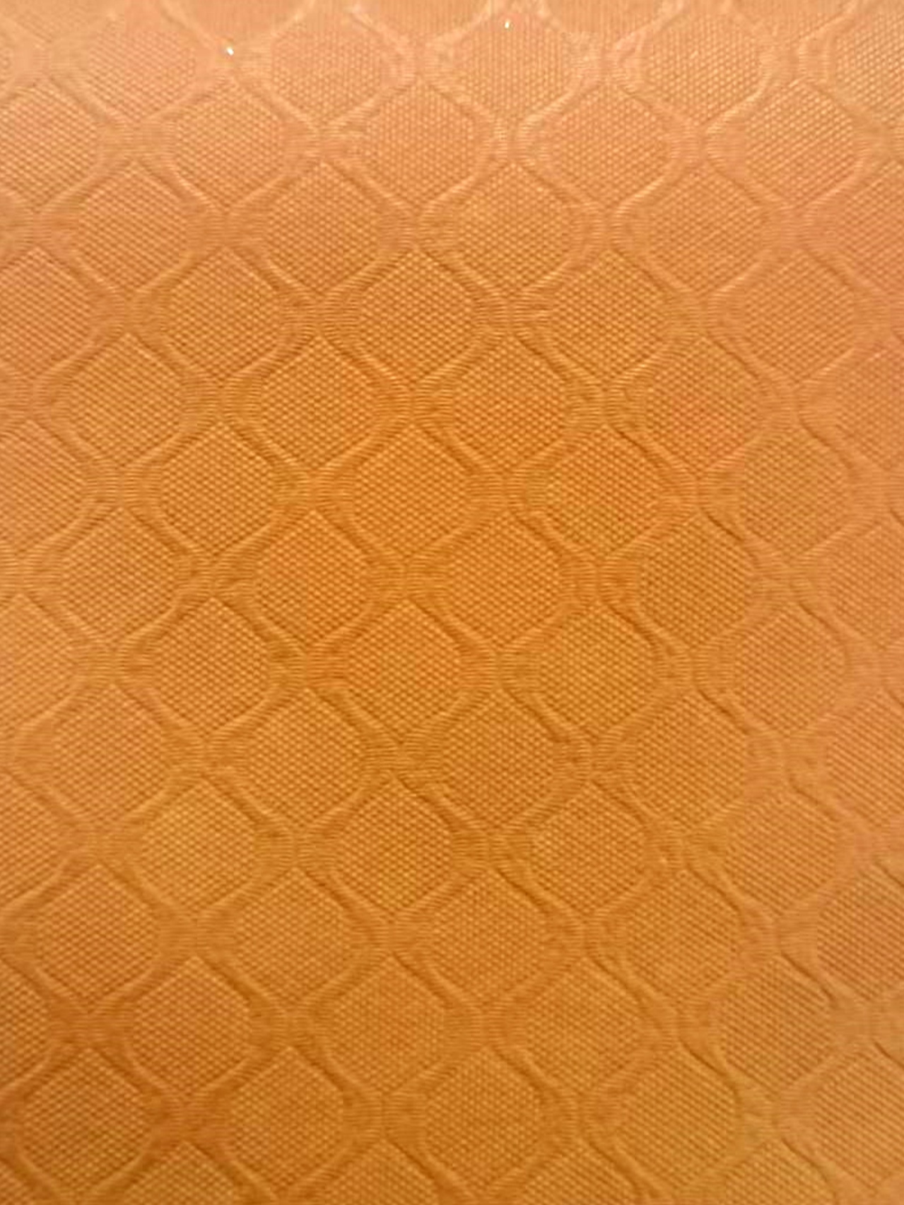 _20250624115026 _20250624115026