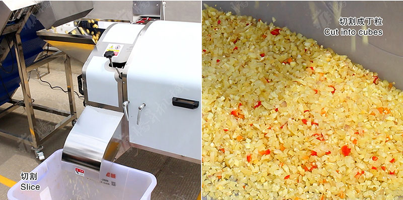 fruit and vegetable processing equipment fruit and vegetable processing equipment