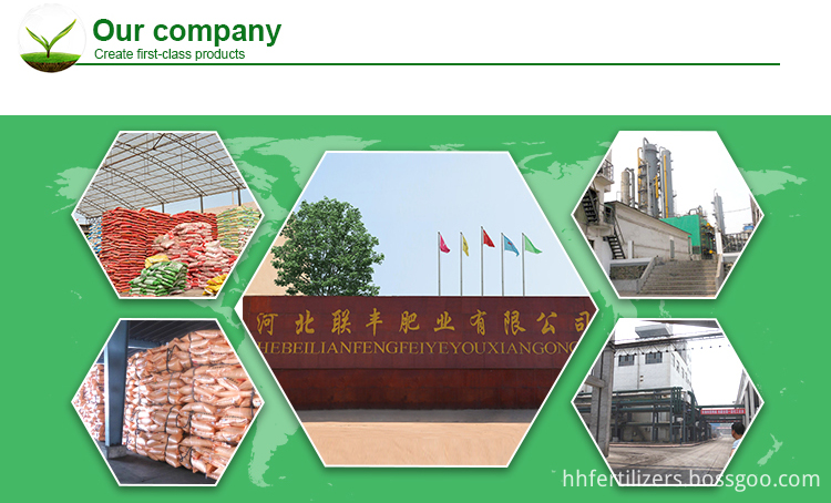 Our company introduce Our company introduce