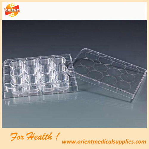 12well tissue culture plate 12well tissue culture plate