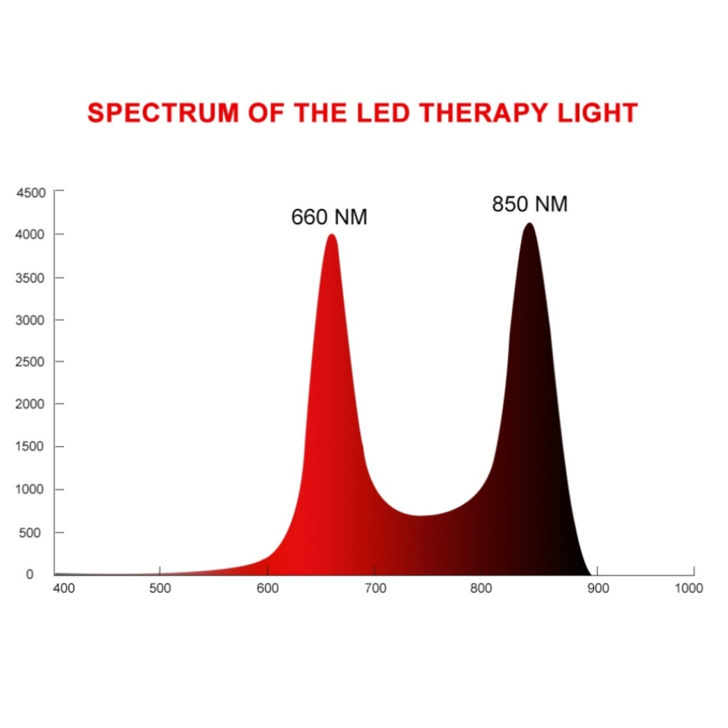 Máquina profesional de terapia de luz infrarroja roja Professional Red Infrared Light Therapy Machine