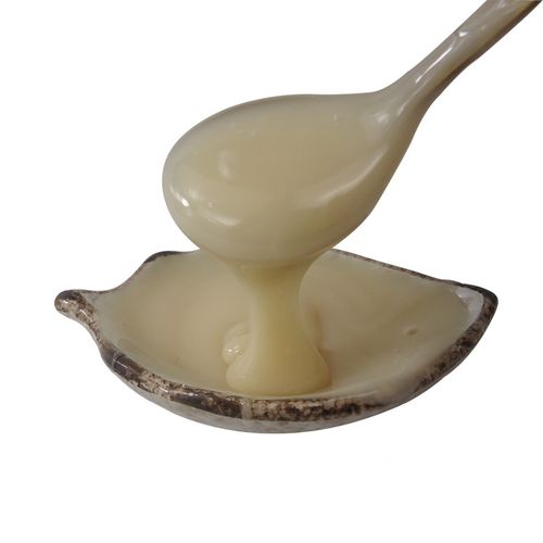 Phytosterol Ester Phytosterol Ester