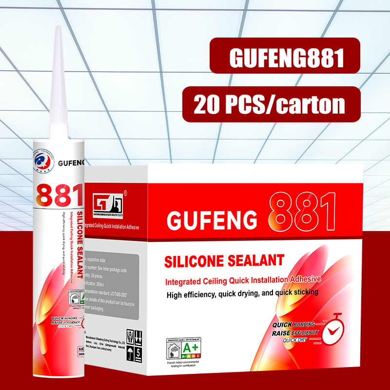 6 6