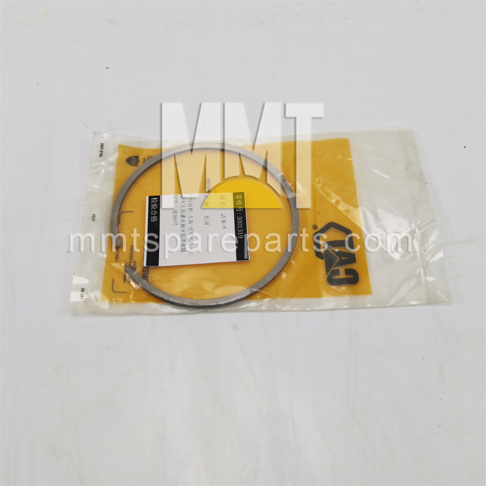 Piston ring 300-1319 Piston ring 300-1319