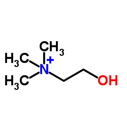 L-Choline (1) L-Choline (1)