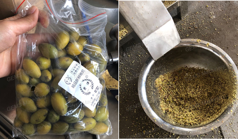 olive crusher
