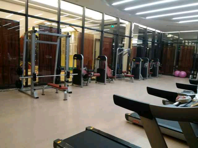 commercial gym equipment manufacture
