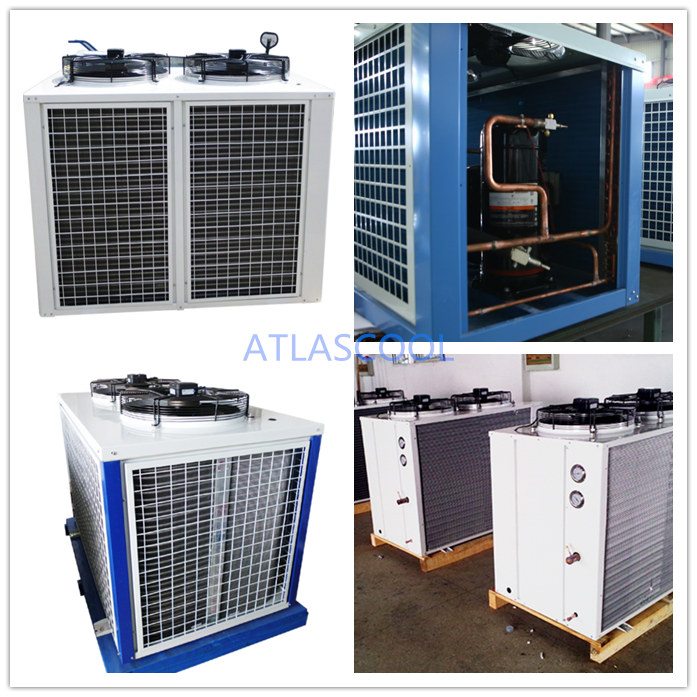 Unidade de condensação do compressor da sala fria Cold Room Compressor Condensing Unit