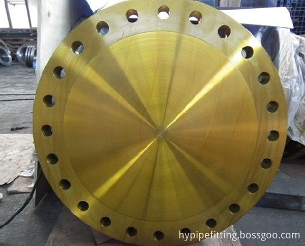 8 blind flange 8 blind flange