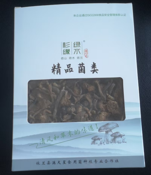 Hazelnut Mushroom Hazelnut Mushroom