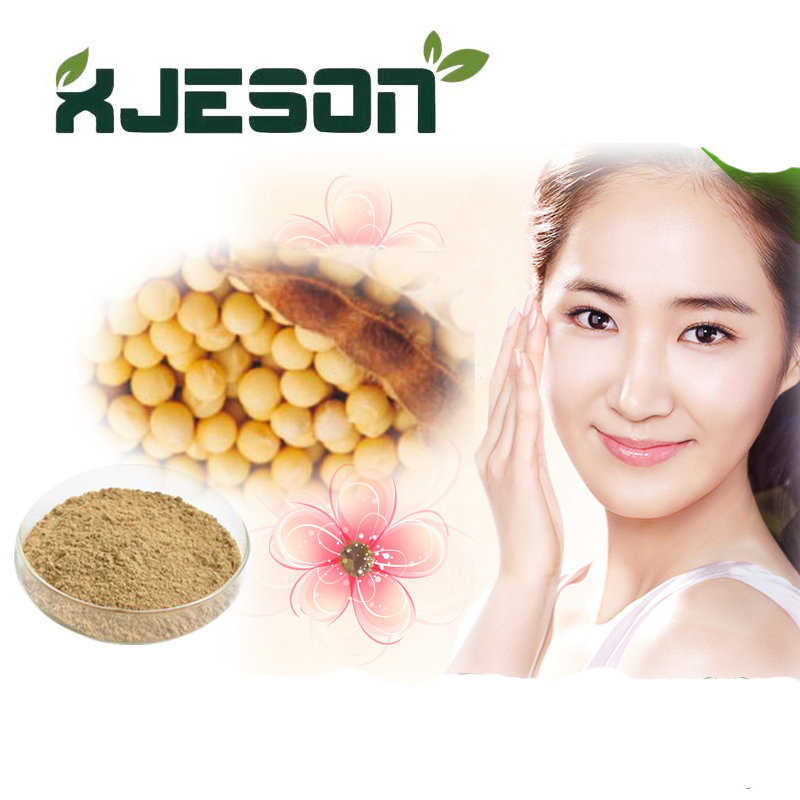 Soybean Extract Powder Soybean Extract Powder