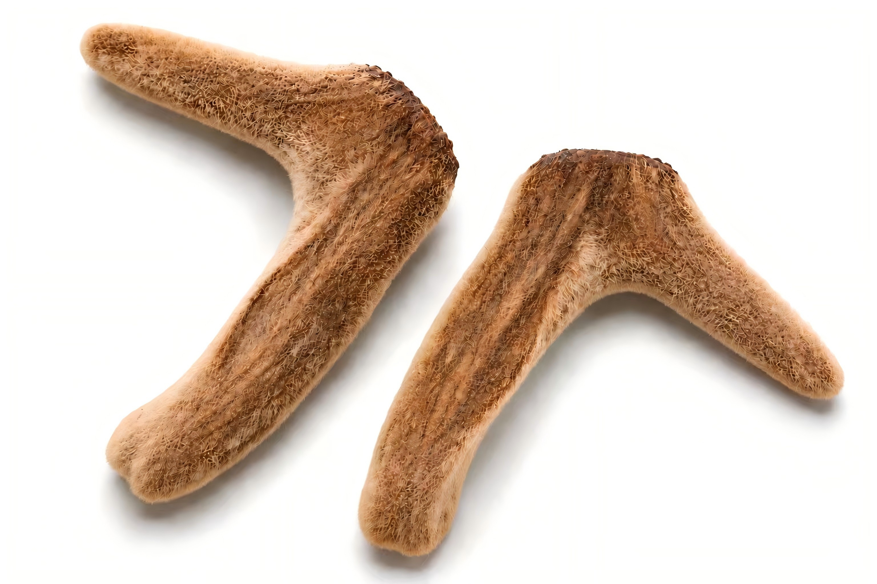 Freeze Dried Deer Antler Products4 Freeze Dried Deer Antler Products4