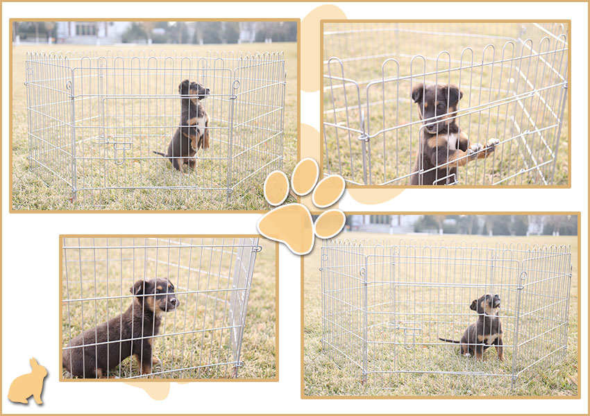 corral galvanizado galvanized puppy dog playpen