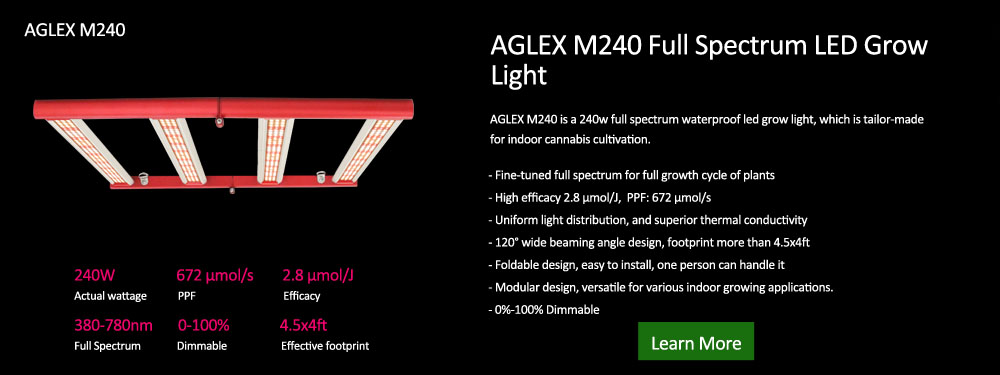 Aglex M240