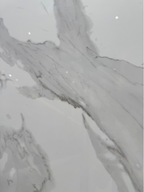 Top-grade fish maw white Top-grade fish maw white