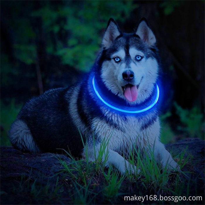 Waterproof Flashing Dog Collar Waterproof Flashing Dog Collar