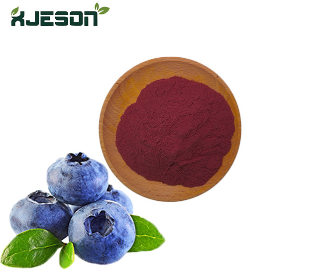 Blueberry Extract Blueberry Extract