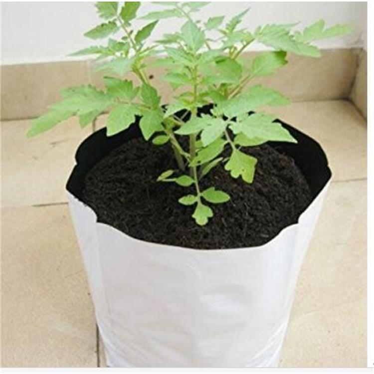 Vegetables Growing Bags Planter Black Plastic Bag For