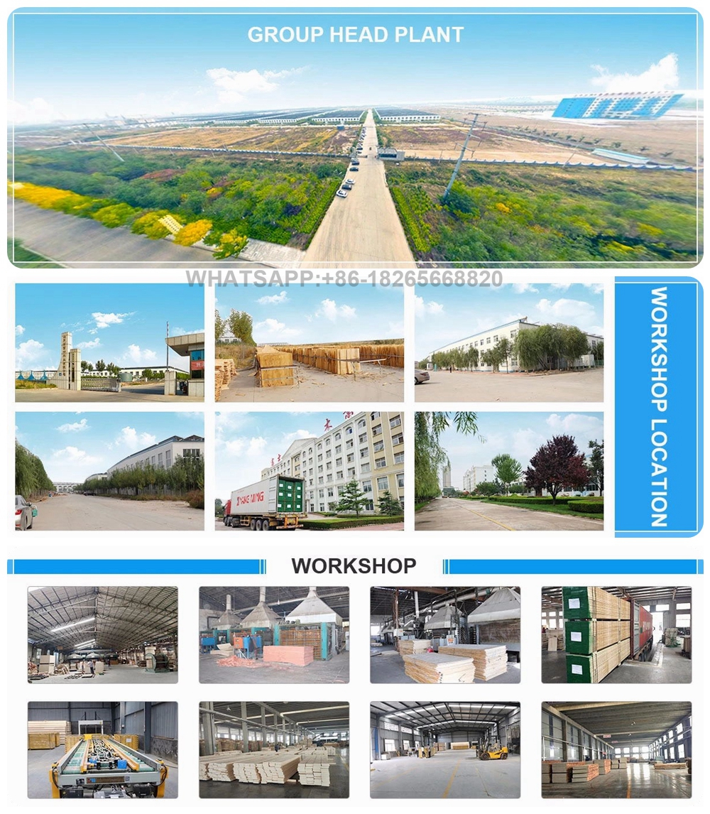 Company Profile 17 Company Profile 17