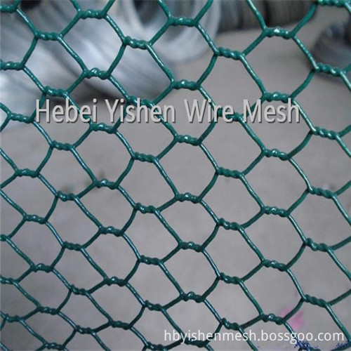PVC hexagonal wire mesh1_