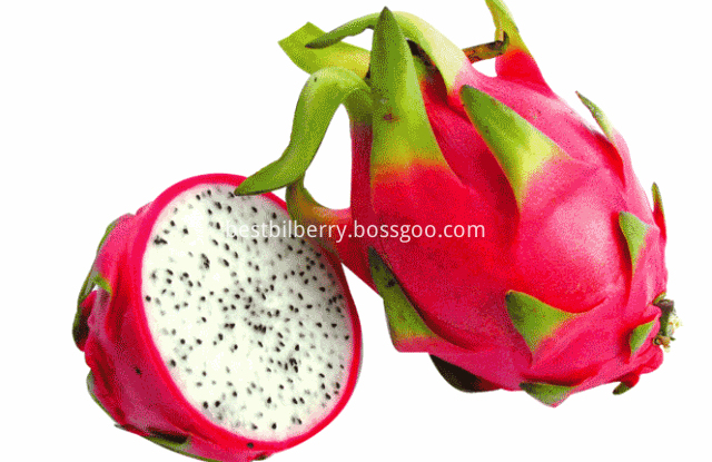 white dragon fruit white dragon fruit