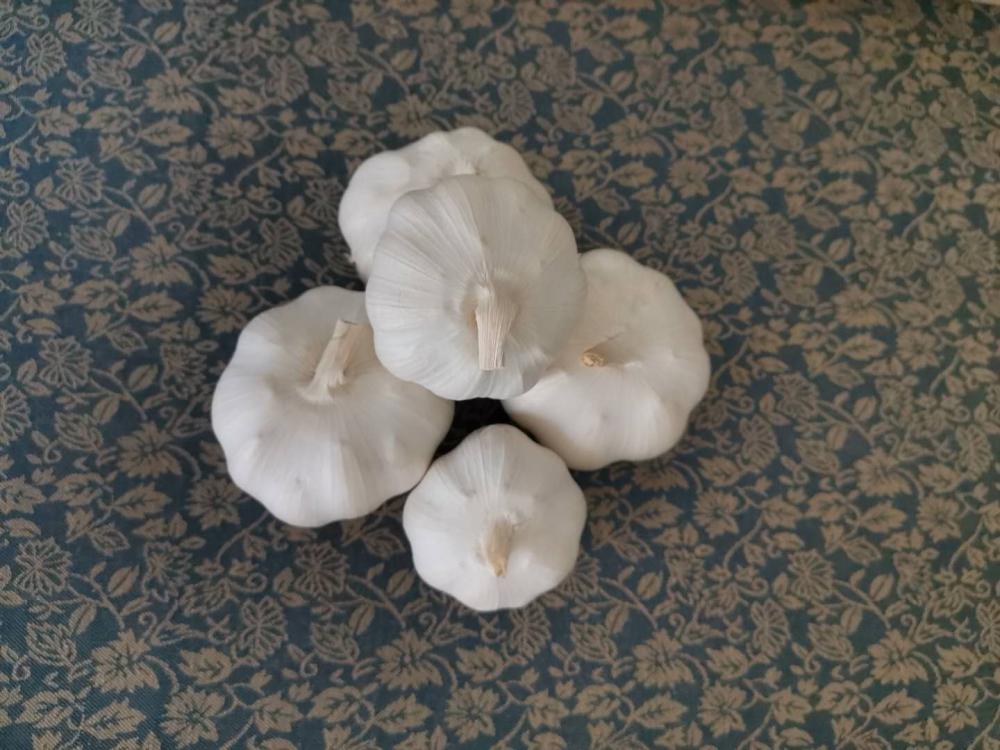 Mix Size Pure White Garlic Mix Size Pure White Garlic