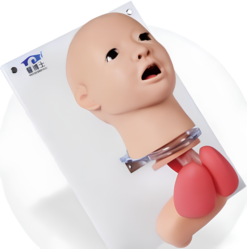 Child Endotracheal Intubation Model Child Endotracheal Intubation Model