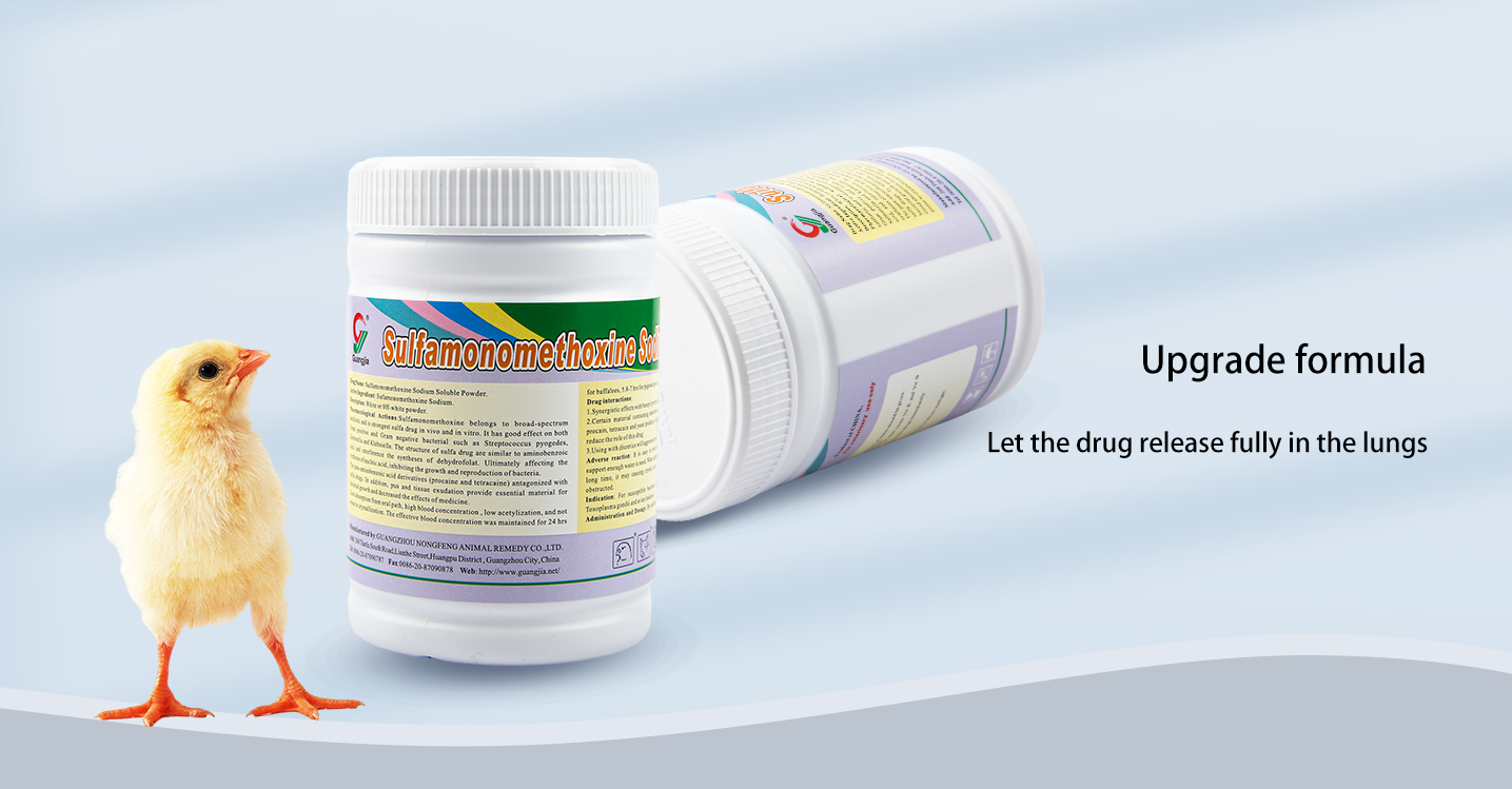 _20250417143027 _20250417143027