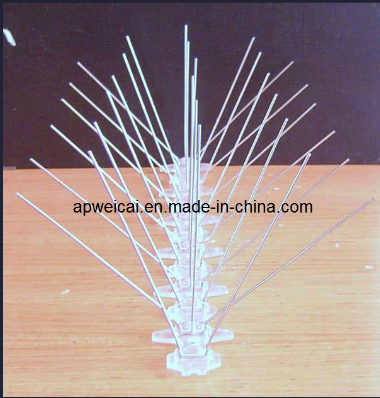Stainless Steel Bird Spikes
