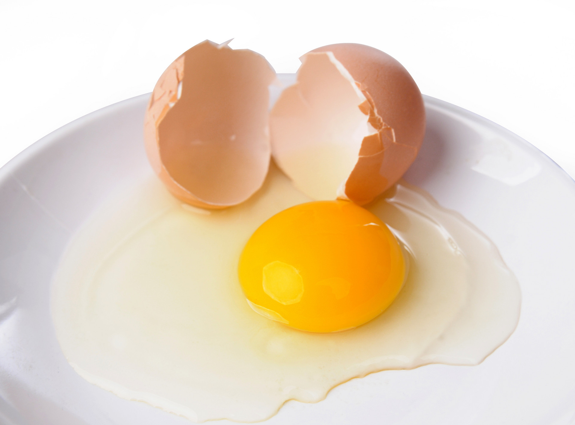 Egg Yolk Egg Yolk