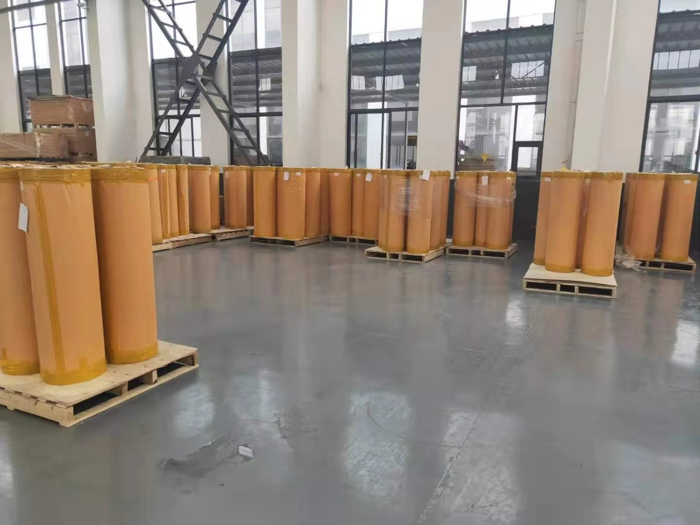 Pet Polyester Roll Film 6 Pet Polyester Roll Film 6