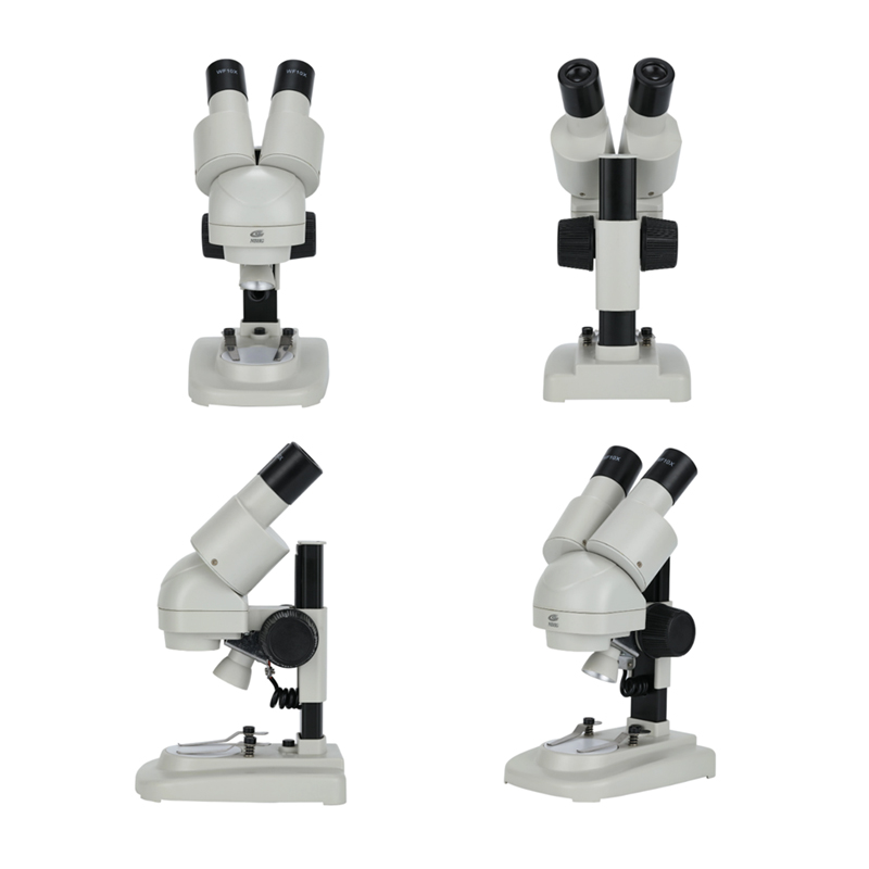 Direct Sales Toy Microscope Binocular Stereo Microscope Direct Sales Toy Microscope Binocular Stereo Microscope
