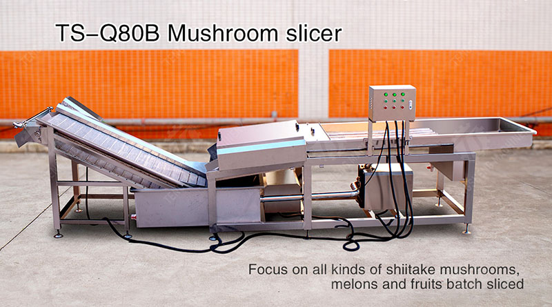 mushroom slicing machine mushroom slicing machine