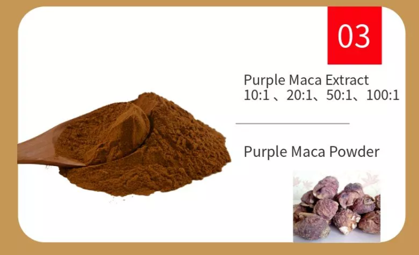 Male Health Maca Root Extract Powder Male Health Maca Root Extract Powder