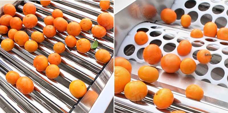 industrial fruit sorter industrial fruit sorter
