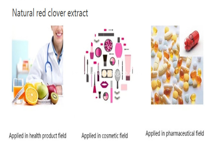 Application Of Red Clover Extract Powder Application Of Red Clover Extract Powder