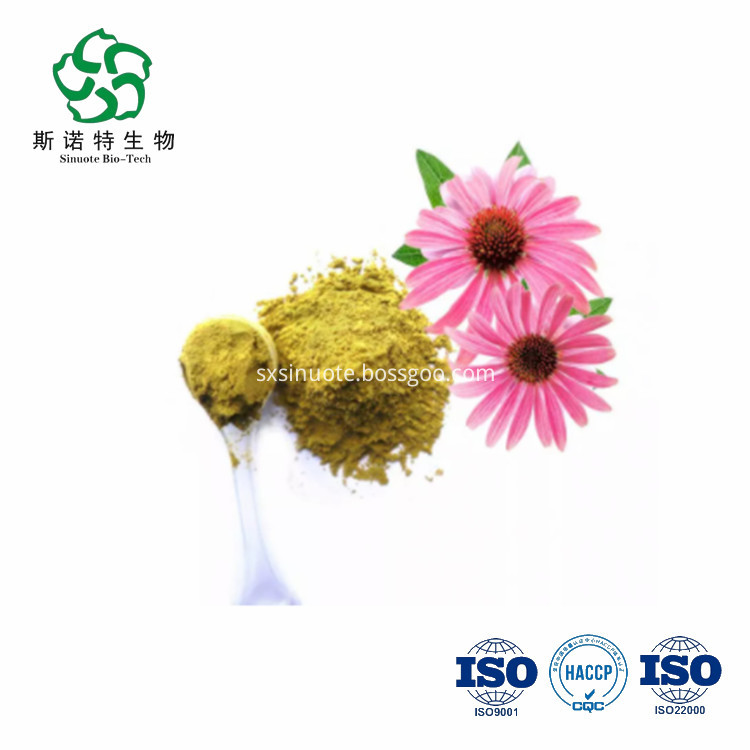 Echinacea Purpurea Extract Polyphenols Echinacea Purpurea Extract Polyphenols