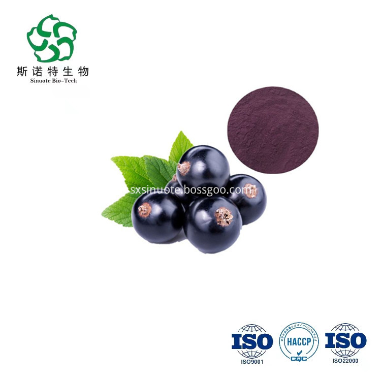 Blackcurrant Fruit Powder Blackcurrant Fruit Powder