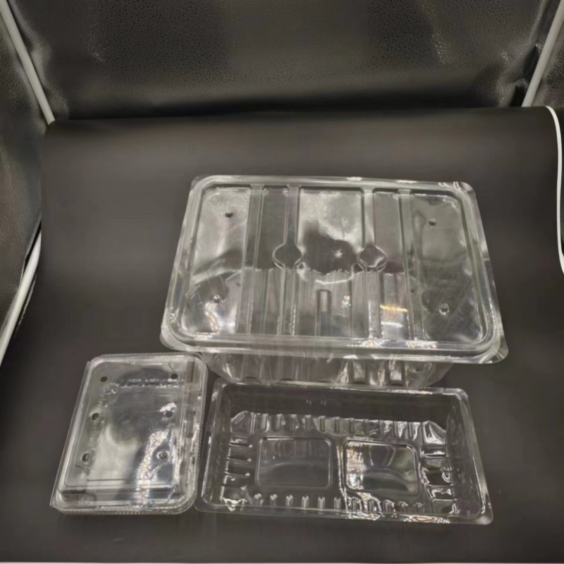 PET Food Tray-001 PET Food Tray-001