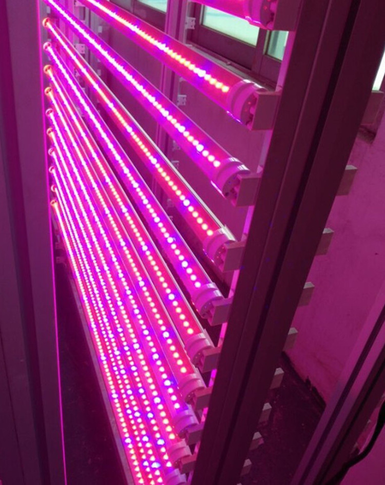 grow strip led