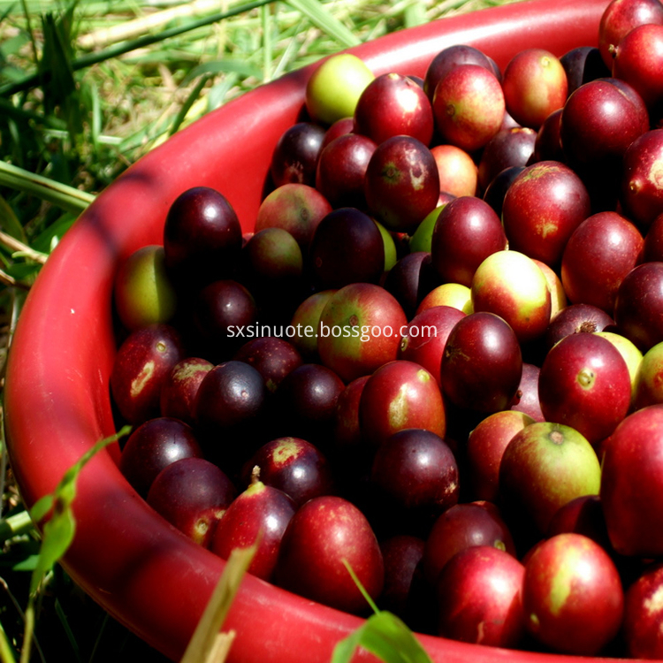 Camu Camu Extract Camu Camu Extract